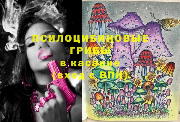 метадон Заволжск