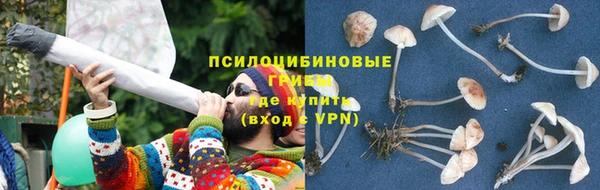 мдпв Билибино